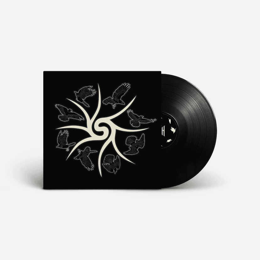 Vinyl Record
